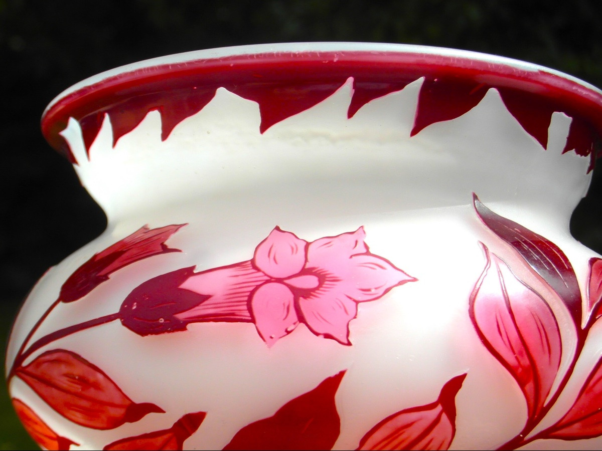 Original Etched Glass Bignone Cup By Arsall, Circa 1920, Daum Galle Devez Era-photo-2