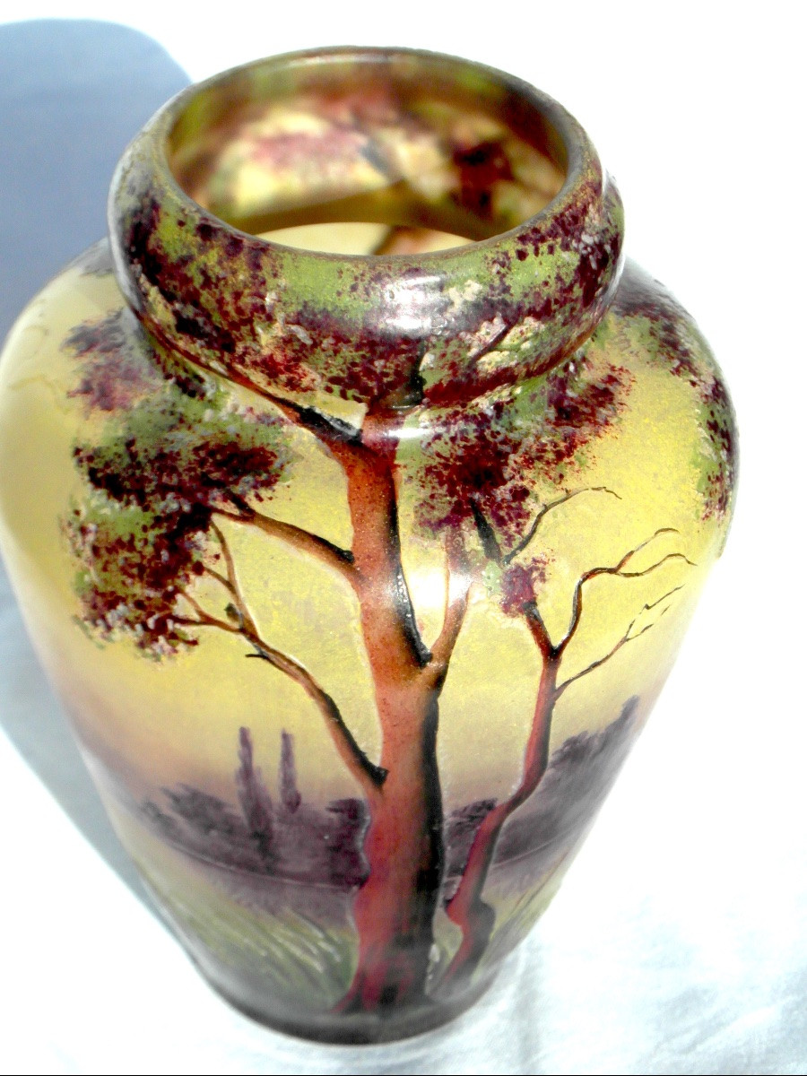 Vase Muller en verre gravé et émaillé , paysage lacustre, era daum galle 1900-photo-5