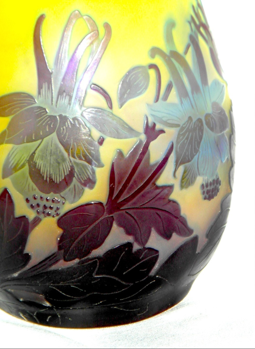 Vase aux ancolies bleues par Gallé, era daum 1900-photo-3