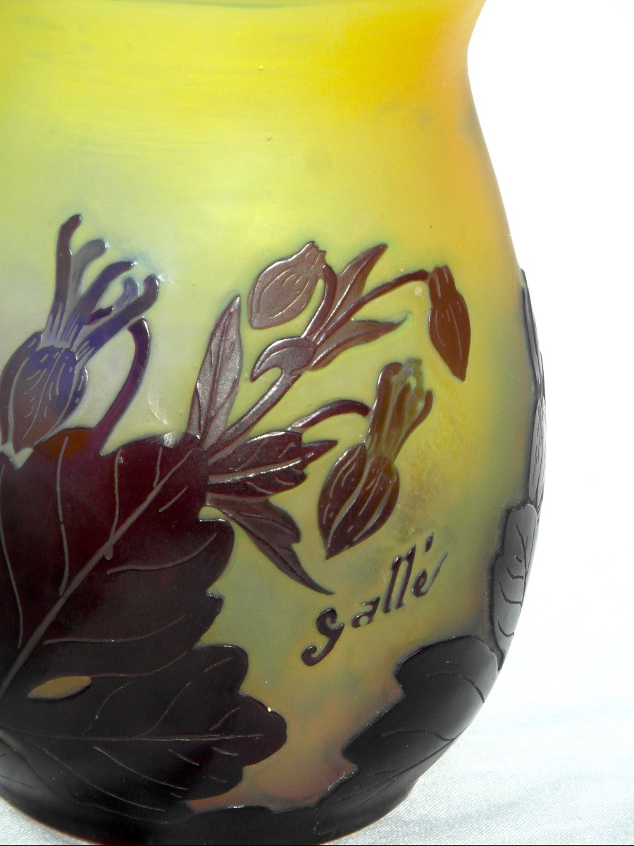 Vase aux ancolies bleues par Gallé, era daum 1900-photo-4