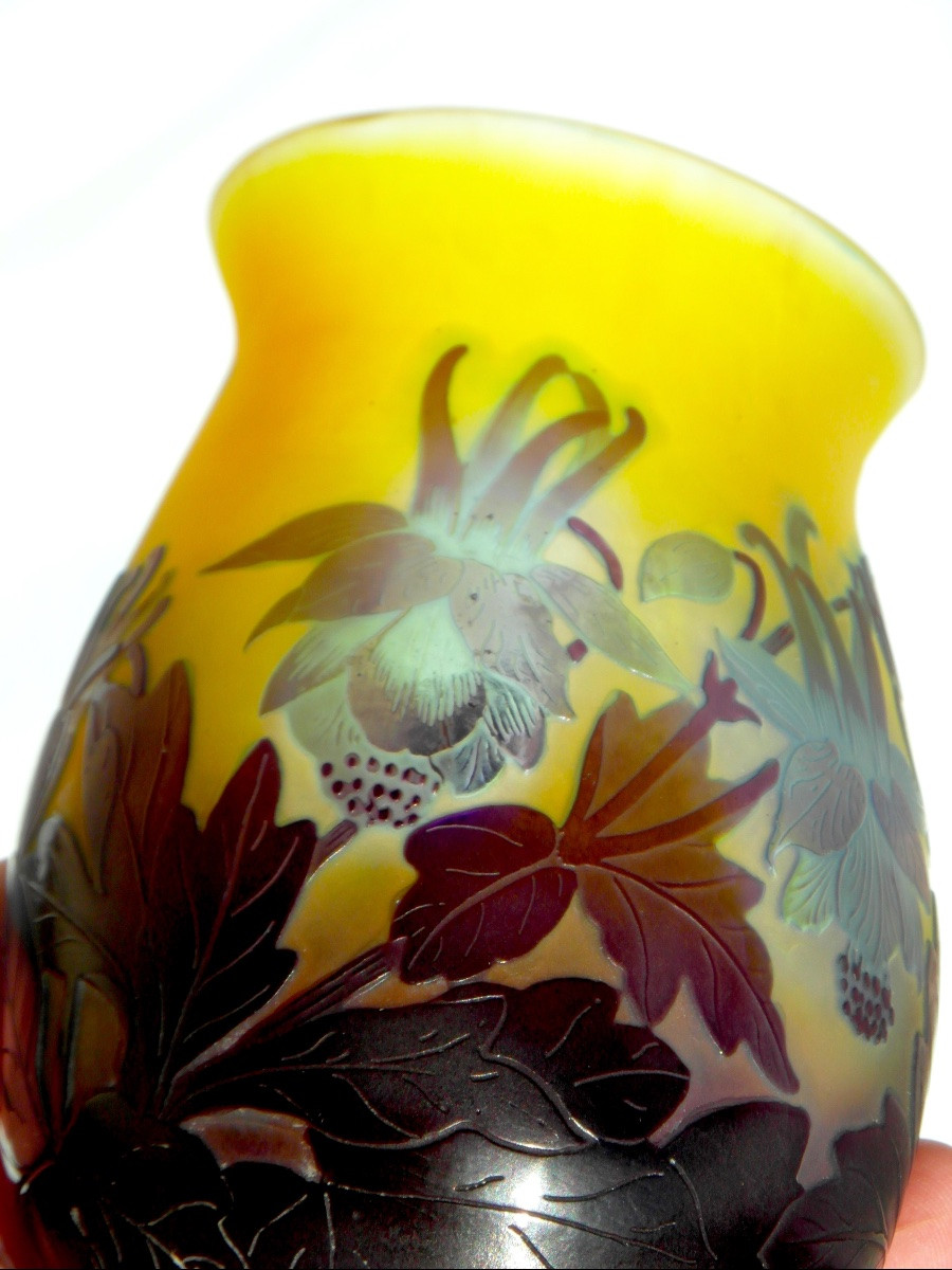 Vase aux ancolies bleues par Gallé, era daum 1900-photo-1