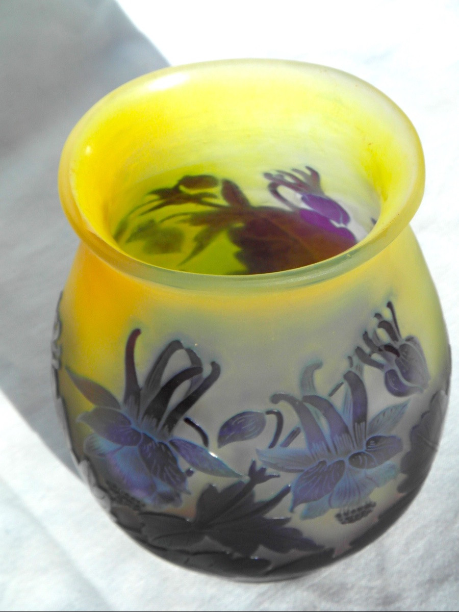 Vase aux ancolies bleues par Gallé, era daum 1900-photo-3