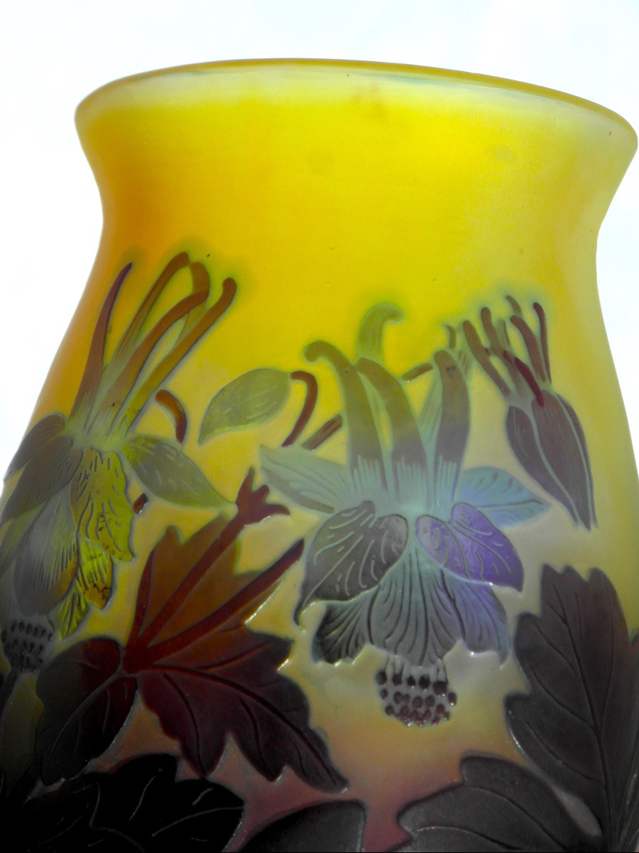 Vase aux ancolies bleues par Gallé, era daum 1900-photo-4