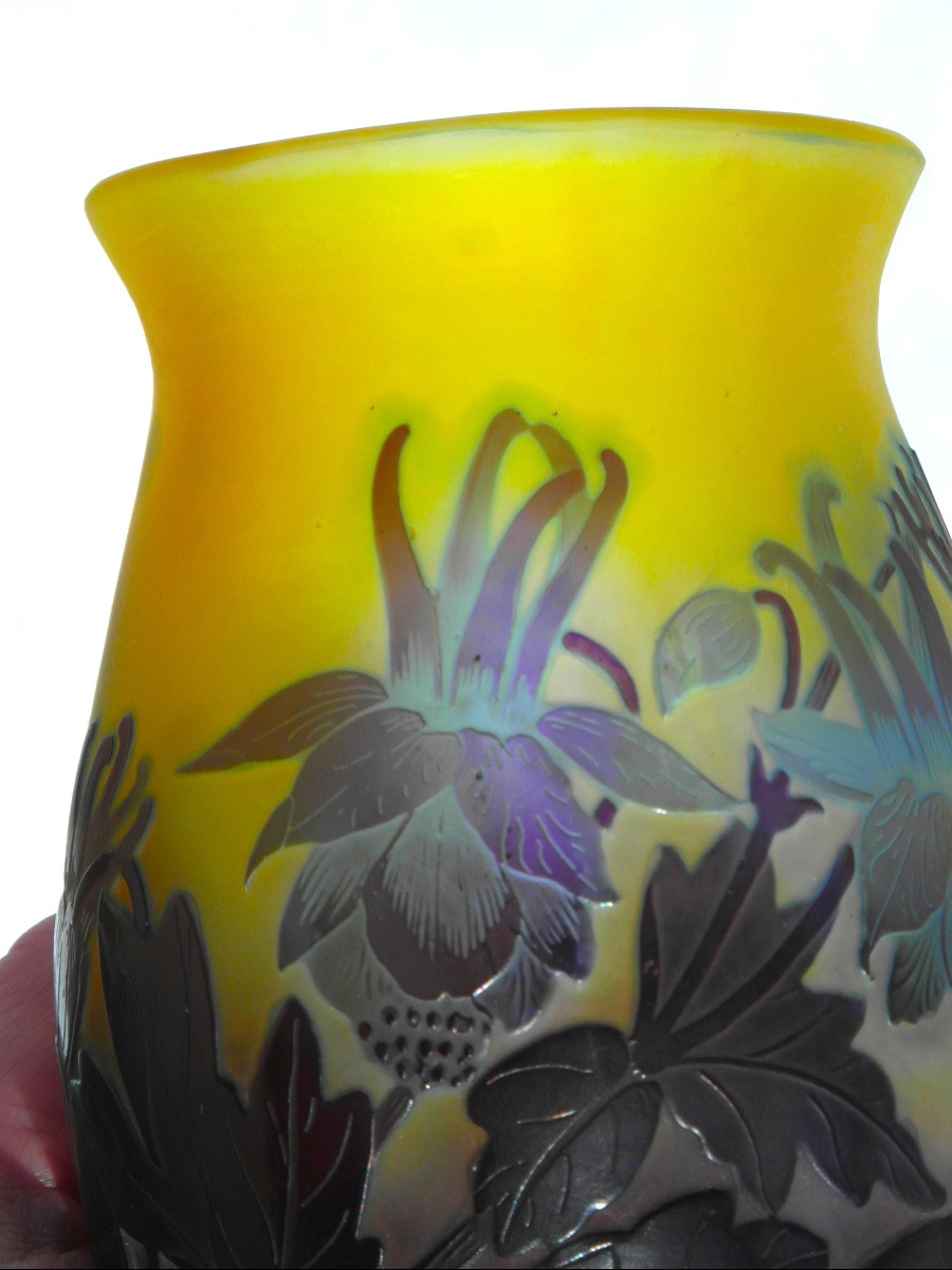 Vase aux ancolies bleues par Gallé, era daum 1900