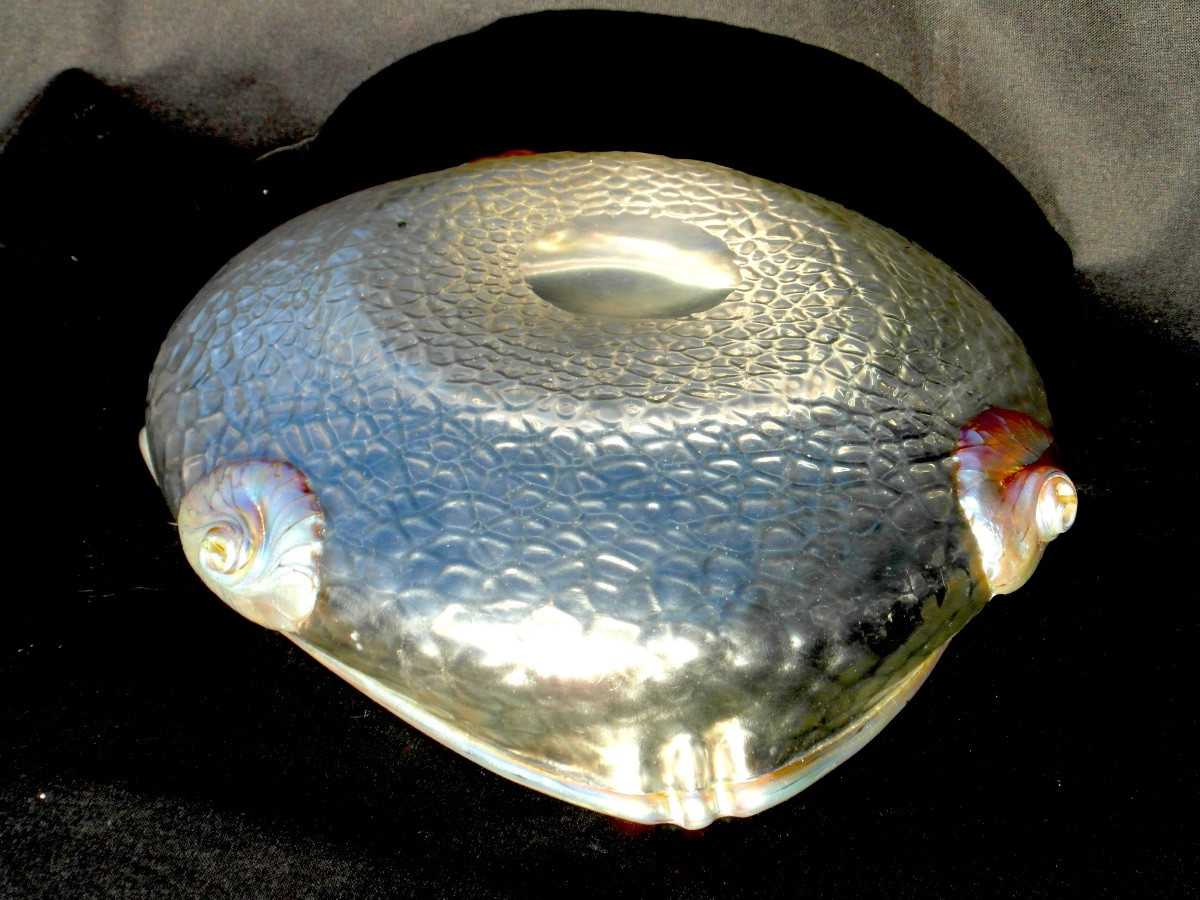Iridescent Art-nouveau Bowl By Loetz, -photo-3