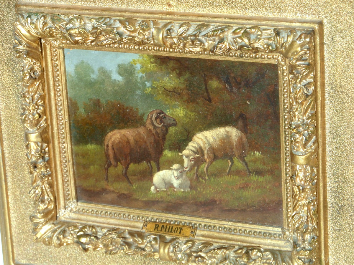 Pair Of Oil On Panel Paintings Of Sheep By R. Milot, Circa 1900-photo-4