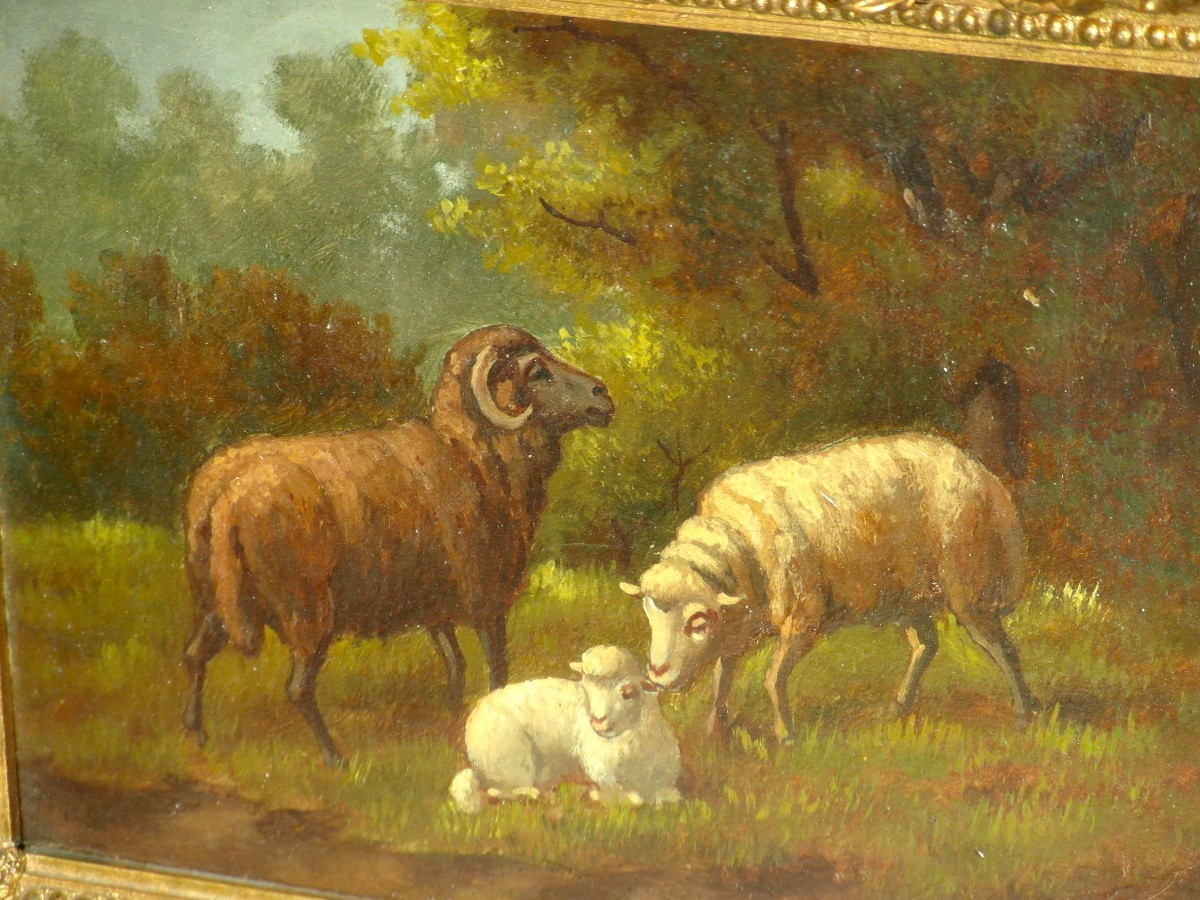Pair Of Oil On Panel Paintings Of Sheep By R. Milot, Circa 1900-photo-5