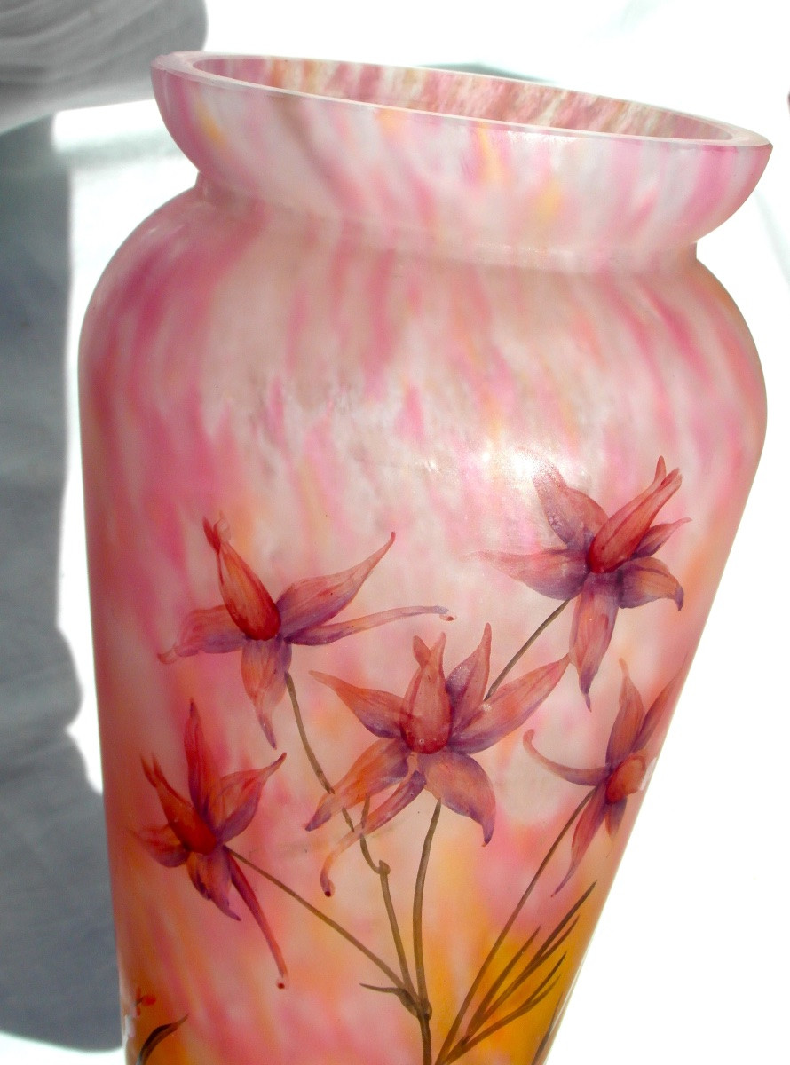 Vase Daum aux solanées,  verrerie belle étoile, vers 1920, era galle art-nouveau-photo-4