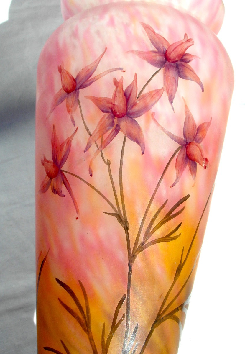 Vase Daum aux solanées,  verrerie belle étoile, vers 1920, era galle art-nouveau-photo-2