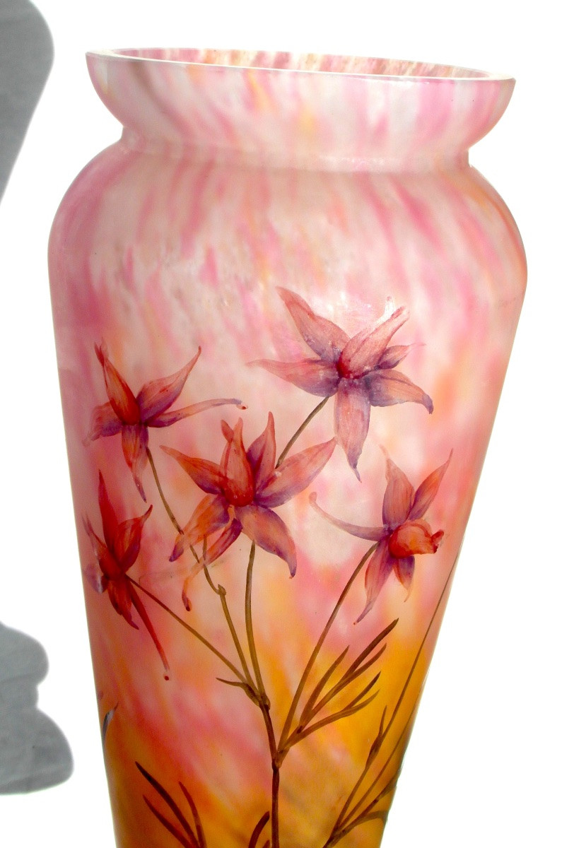 Vase Daum aux solanées,  verrerie belle étoile, vers 1920, era galle art-nouveau-photo-4