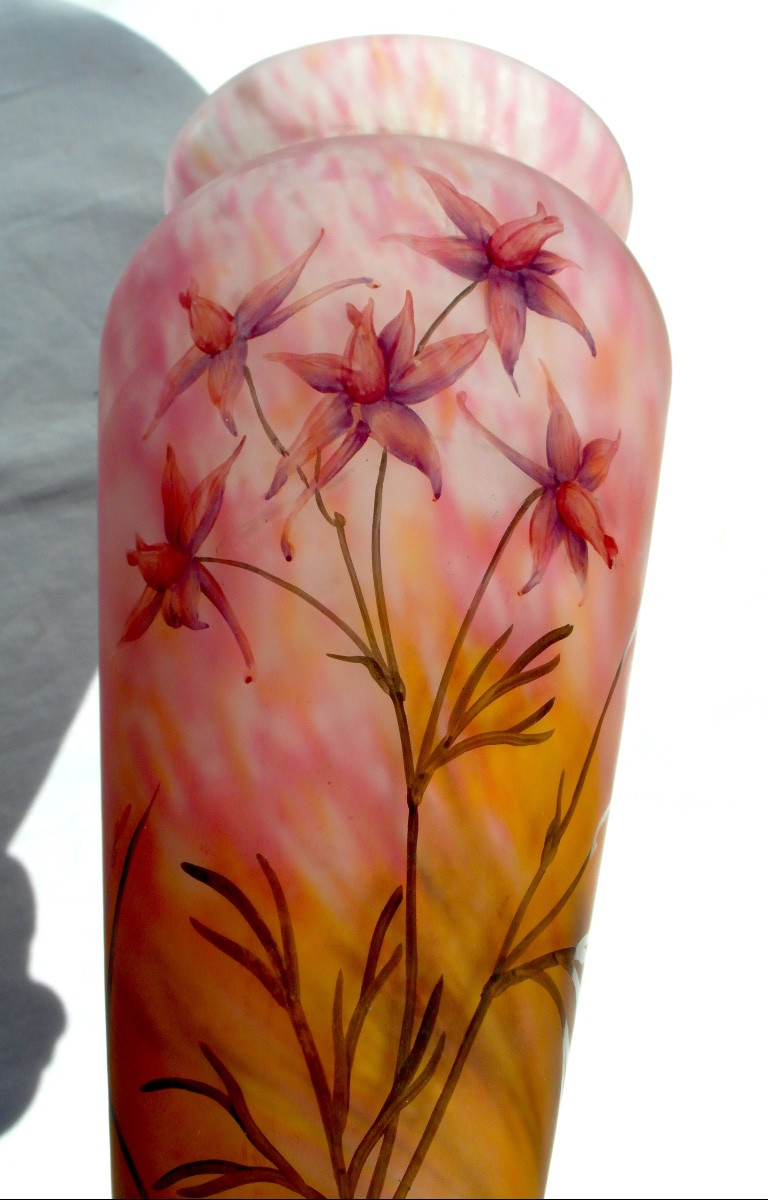 Vase Daum aux solanées,  verrerie belle étoile, vers 1920, era galle art-nouveau-photo-5