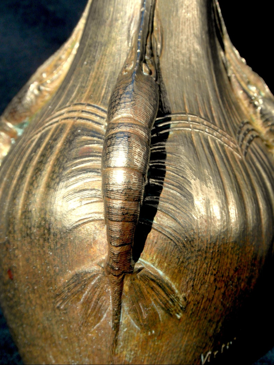Vase soliflore 1900 aux crevettes en bronze doré par Victorin Sabatier, era marionnet susse-photo-4