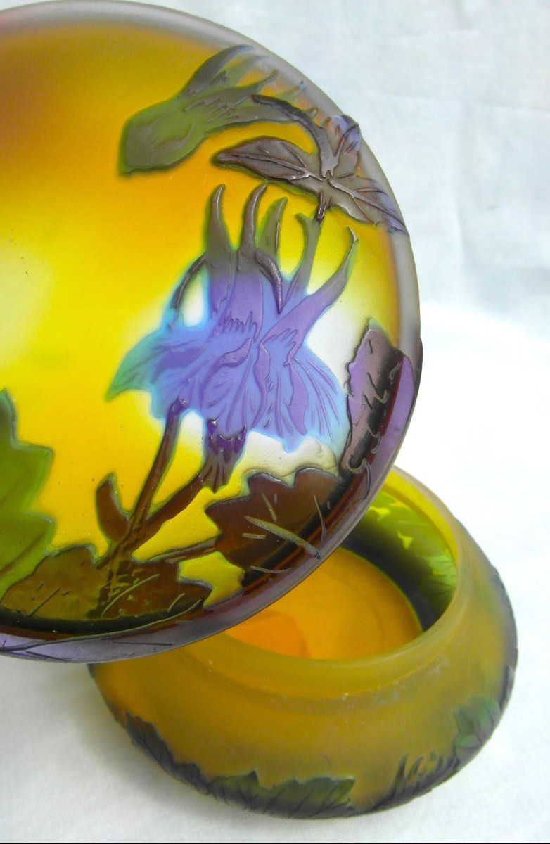 Art-nouveau Candy Box With Blue Columbines By Galle, Perfect, Daum Era 1900-photo-6