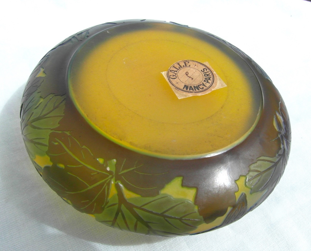 Art-nouveau Candy Box With Blue Columbines By Galle, Perfect, Daum Era 1900-photo-8