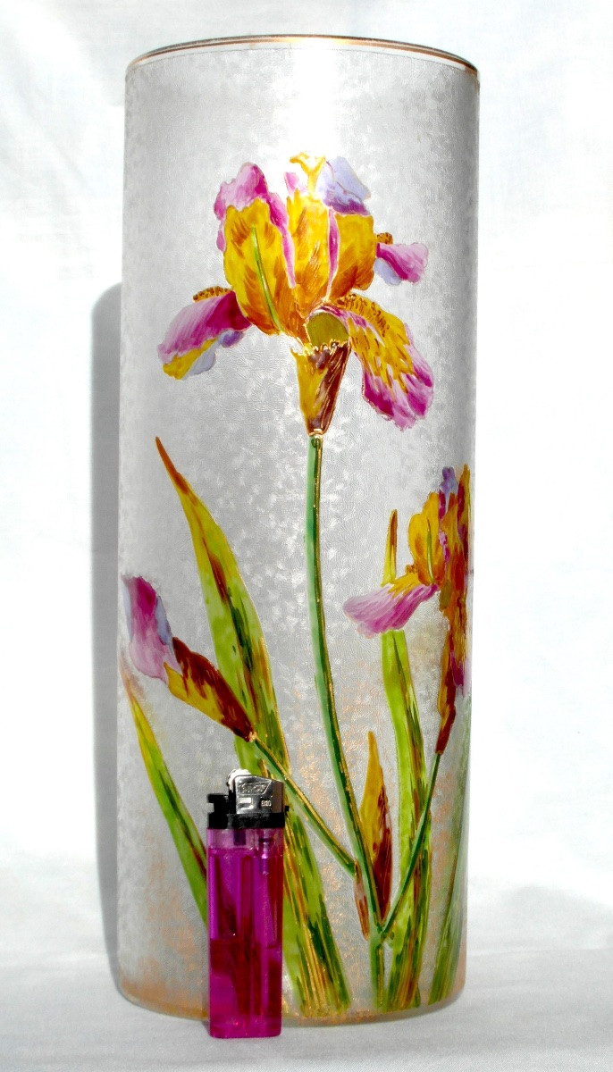 Grand vase Baccarat gravé et émaillé aux iris, vers 1880 era Daum Gallé art-nouveau-photo-2
