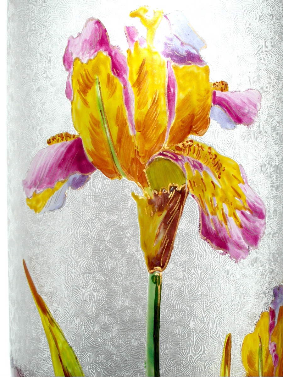 Grand vase Baccarat gravé et émaillé aux iris, vers 1880 era Daum Gallé art-nouveau-photo-4