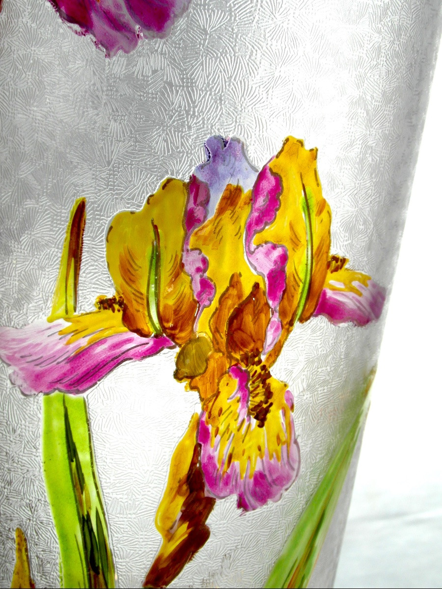 Grand vase Baccarat gravé et émaillé aux iris, vers 1880 era Daum Gallé art-nouveau-photo-1