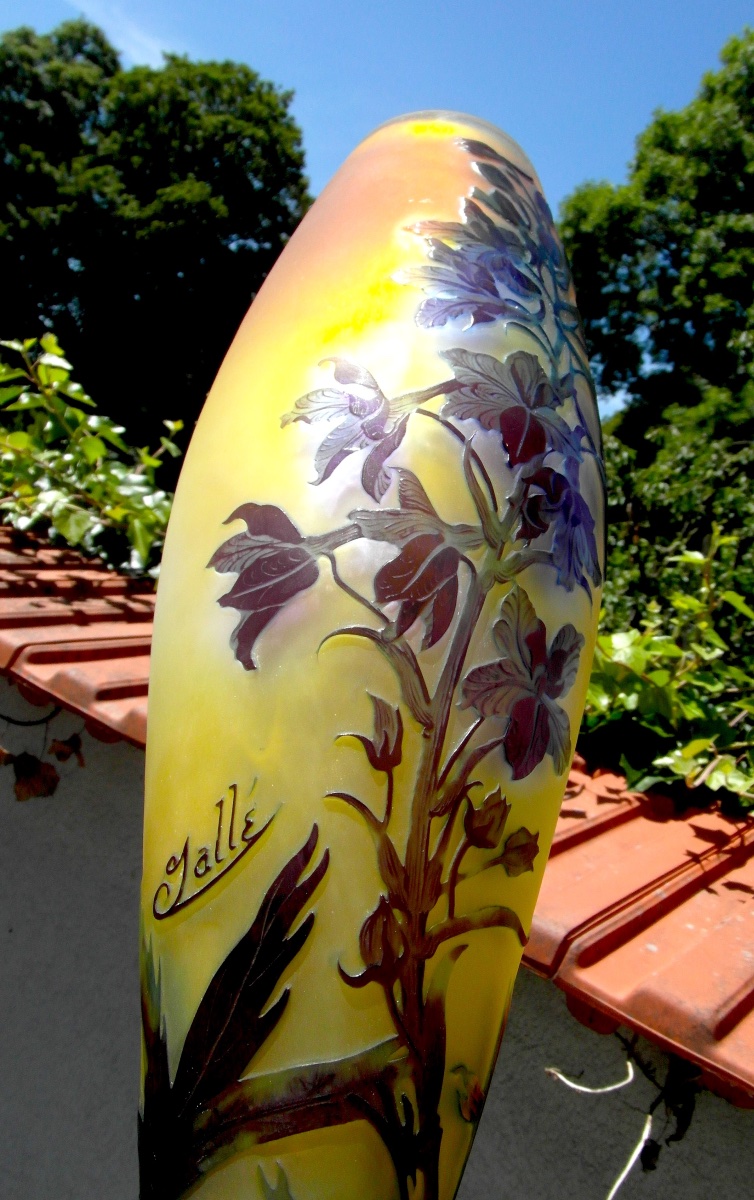 Large Galle Vase With Gentian Design, In Perfect Condition, 44.5 Cm, Circa 1900, Daum Art Nouveau-photo-6