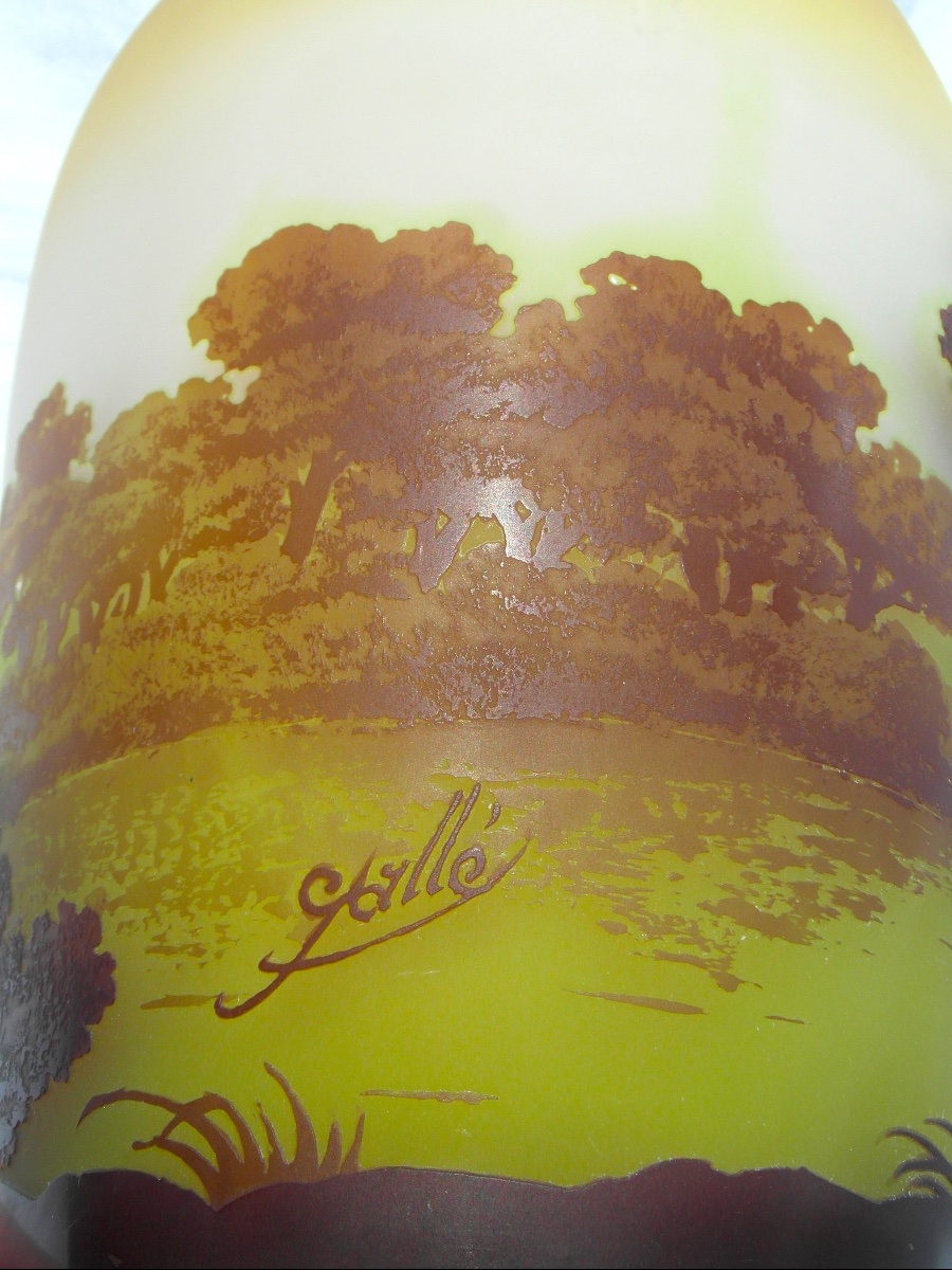 Vase 1900 à décor lacustre gravé par Gallé, 27 cm, parfait, era daum art-nouveau-photo-1