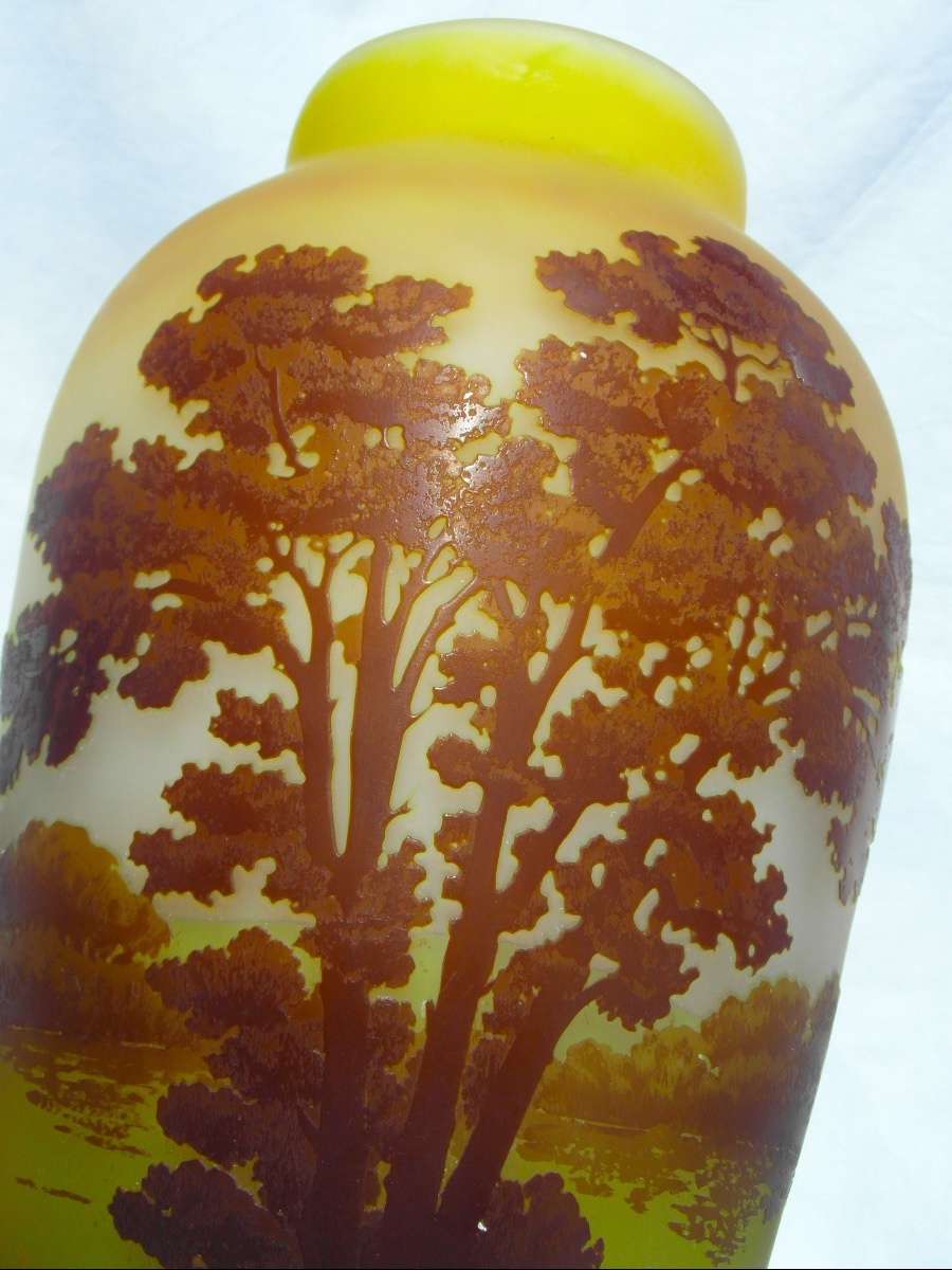 Vase 1900 à décor lacustre gravé par Gallé, 27 cm, parfait, era daum art-nouveau-photo-6