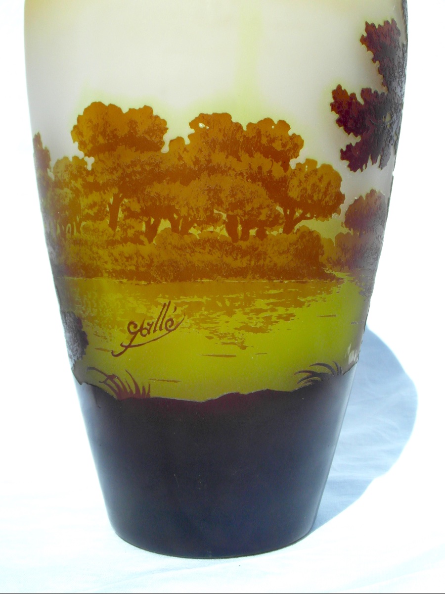 Vase 1900 à décor lacustre gravé par Gallé, 27 cm, parfait, era daum art-nouveau-photo-7
