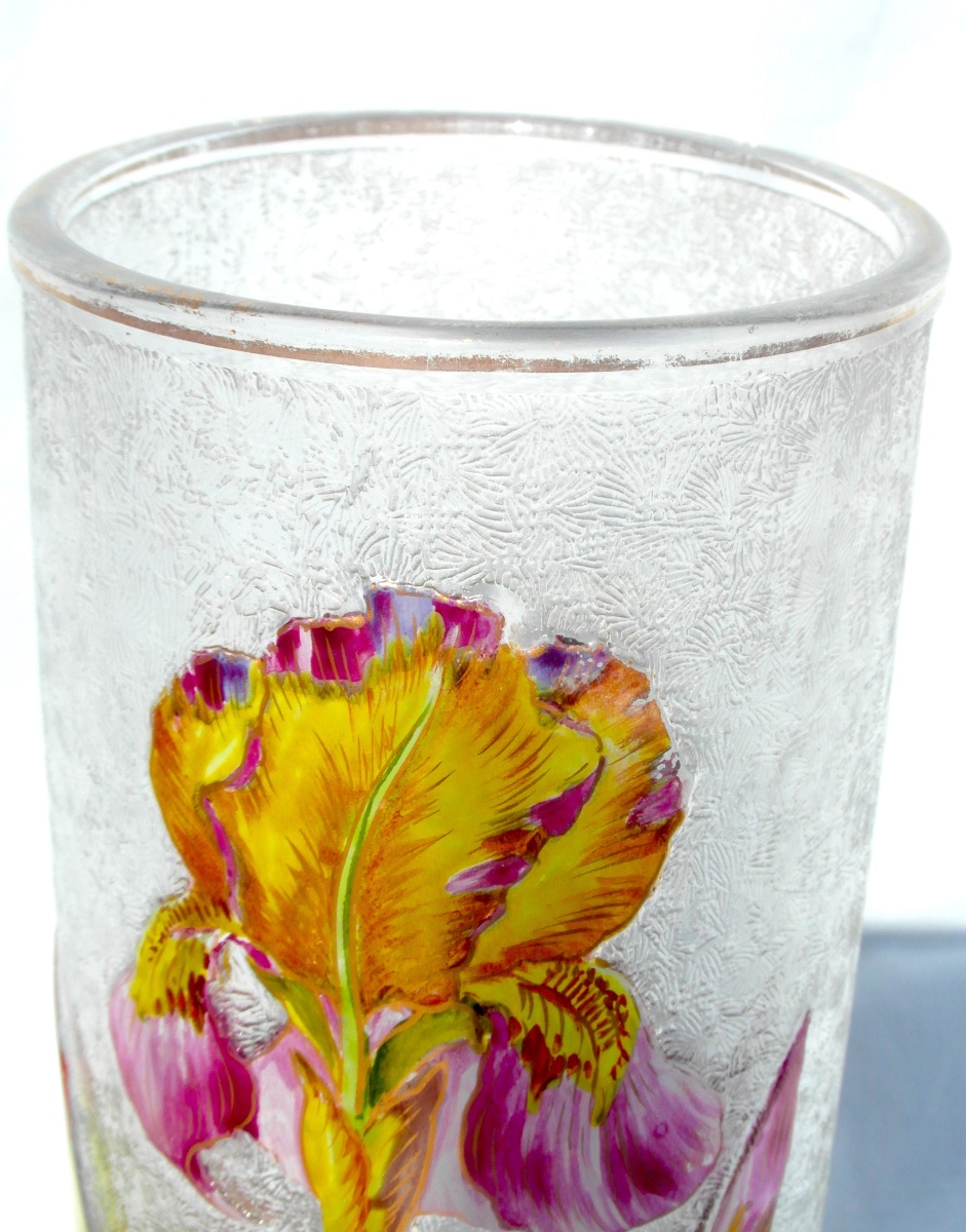 Vase 1900 en verre gravé et émaillé à décor d'iris par Baccarat, era Daum Galle-photo-1