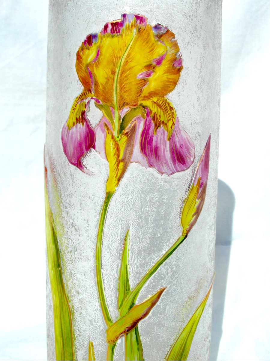 Vase 1900 en verre gravé et émaillé à décor d'iris par Baccarat, era Daum Galle-photo-2