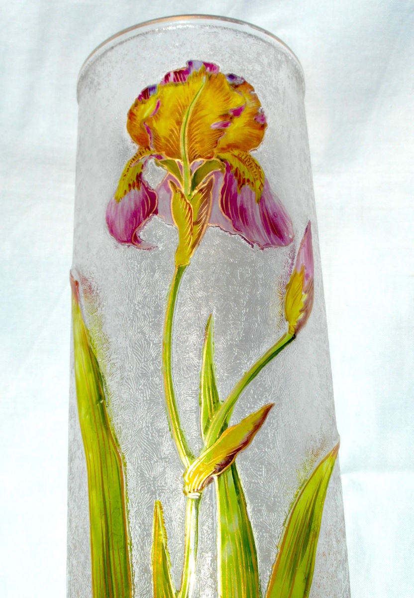 Vase 1900 en verre gravé et émaillé à décor d'iris par Baccarat, era Daum Galle