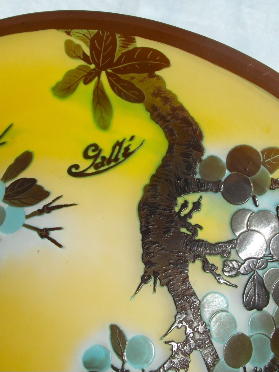 Lustre art-nouveau à décor de prunelles gravées, par Gallé, era Daum 1900-photo-3