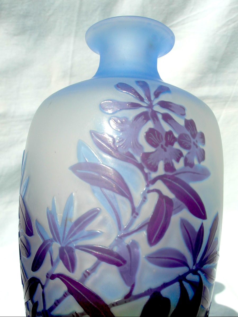 Vase art-nouveau à décor de lauriers gravés par Gallé, era 1900 DAUM