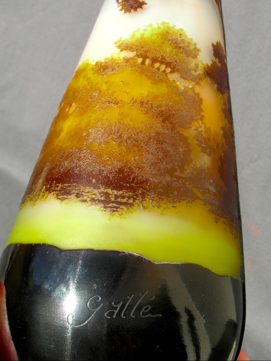 1900 Vase With Engraved Lake Landscape Design By Gallé, In Perfect Condition, 25 Cm, Daum Art Nouveau Era-photo-3