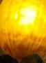 1581650-alb-686e5aa85a51a.jpg