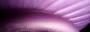 1763920-alb-6a0edb564f25c.jpg