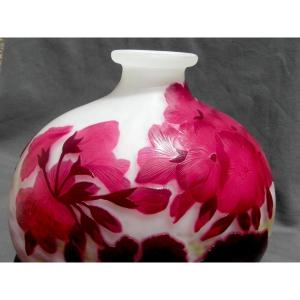 1779199-main-6a310c594ee86.jpg