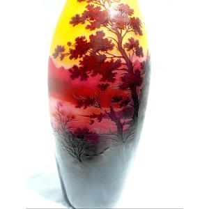 grand vase à décor lacustre gravé d'argental, par Paul Nicolas, era daum Galle 1920