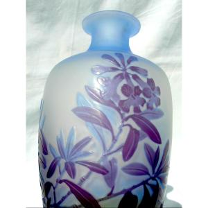 Vase art-nouveau à décor de lauriers gravés par Gallé, era 1900 DAUM