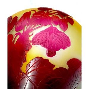 Vase aux abutilons par Gallé, parfait, era daum 1900 art-nouveau
