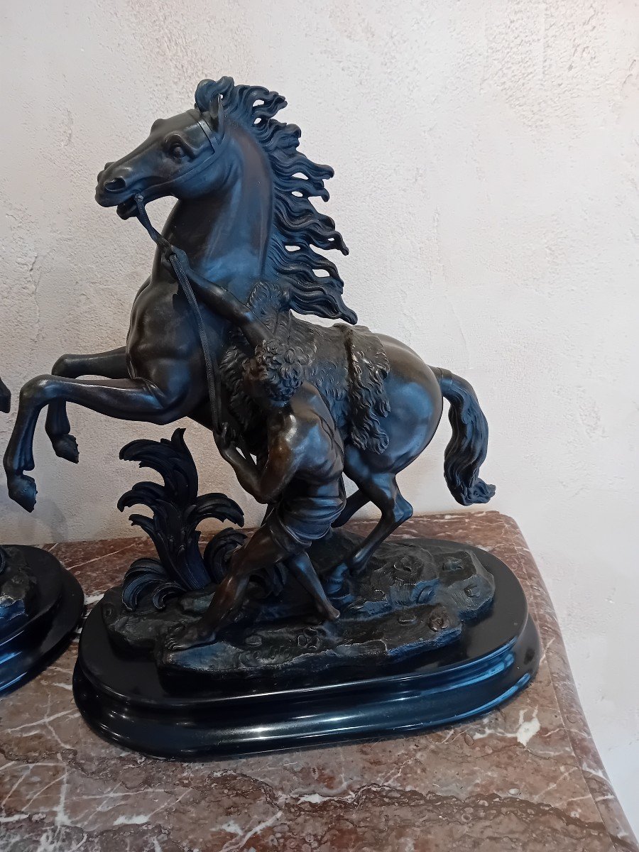 D After Coustou The Horses Of Marly In Bronze With Brown Patina -photo-4