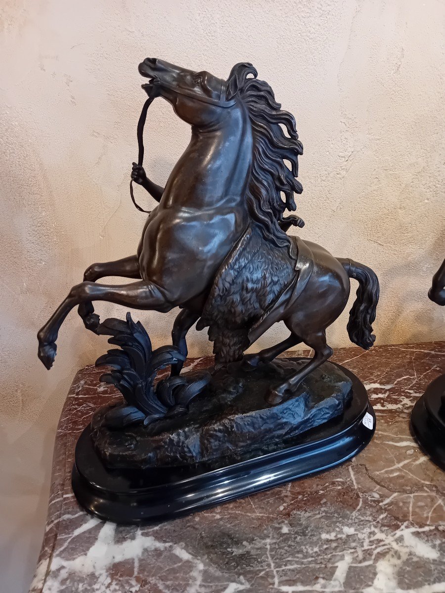 D After Coustou The Horses Of Marly In Bronze With Brown Patina -photo-2