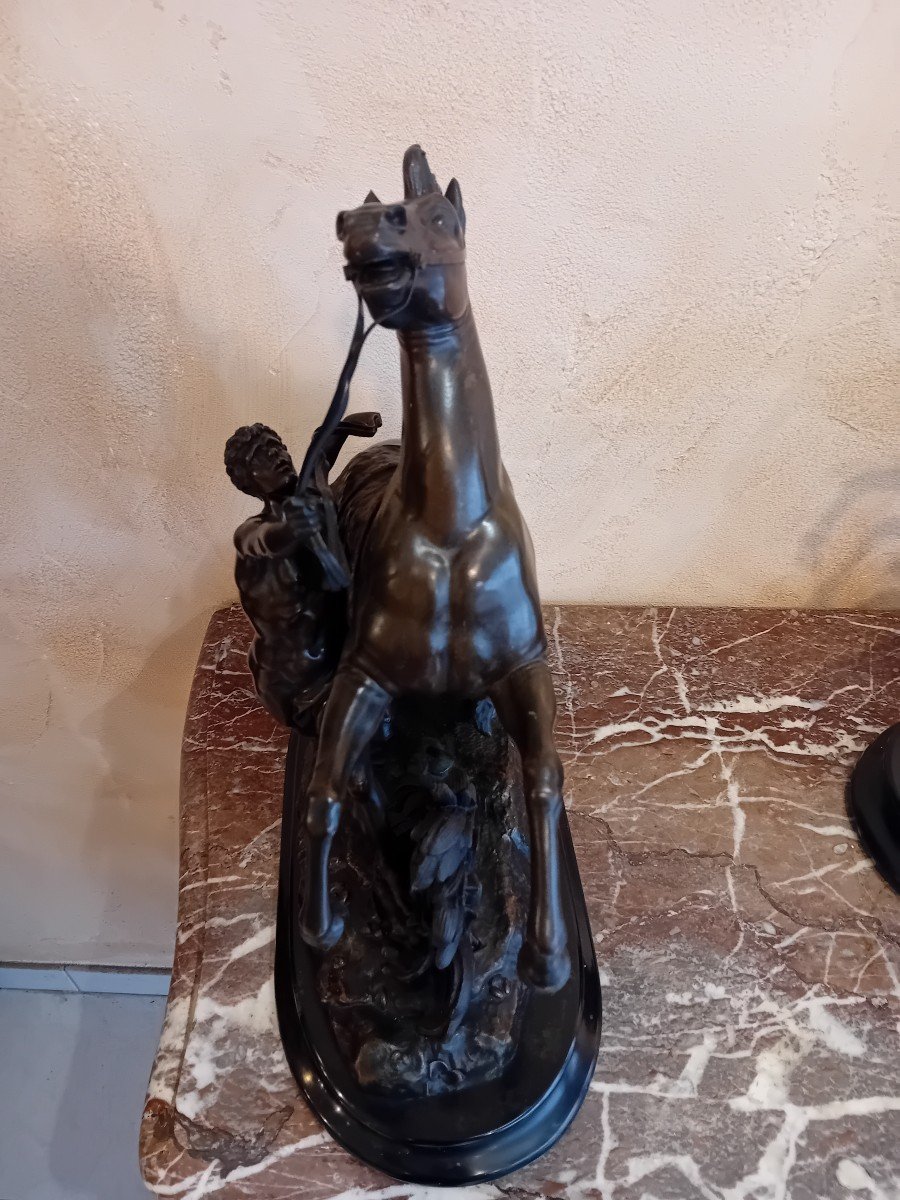 D After Coustou The Horses Of Marly In Bronze With Brown Patina -photo-3