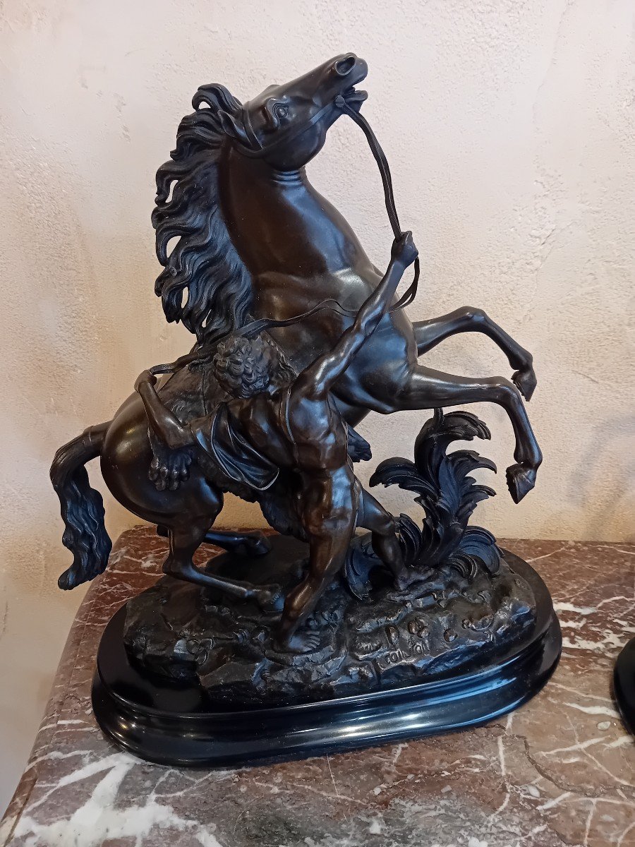 D After Coustou The Horses Of Marly In Bronze With Brown Patina -photo-4