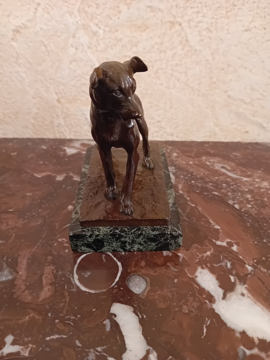 Charles Paillet 1871-1937 Small Bronze Dog On A Marble Base -photo-2