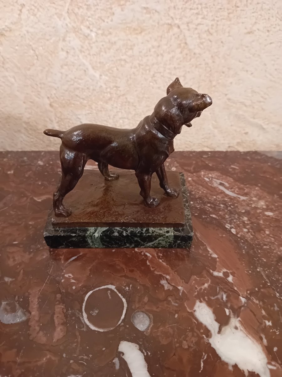 Charles Paillet 1871-1937 Small Bronze Dog On A Marble Base -photo-3