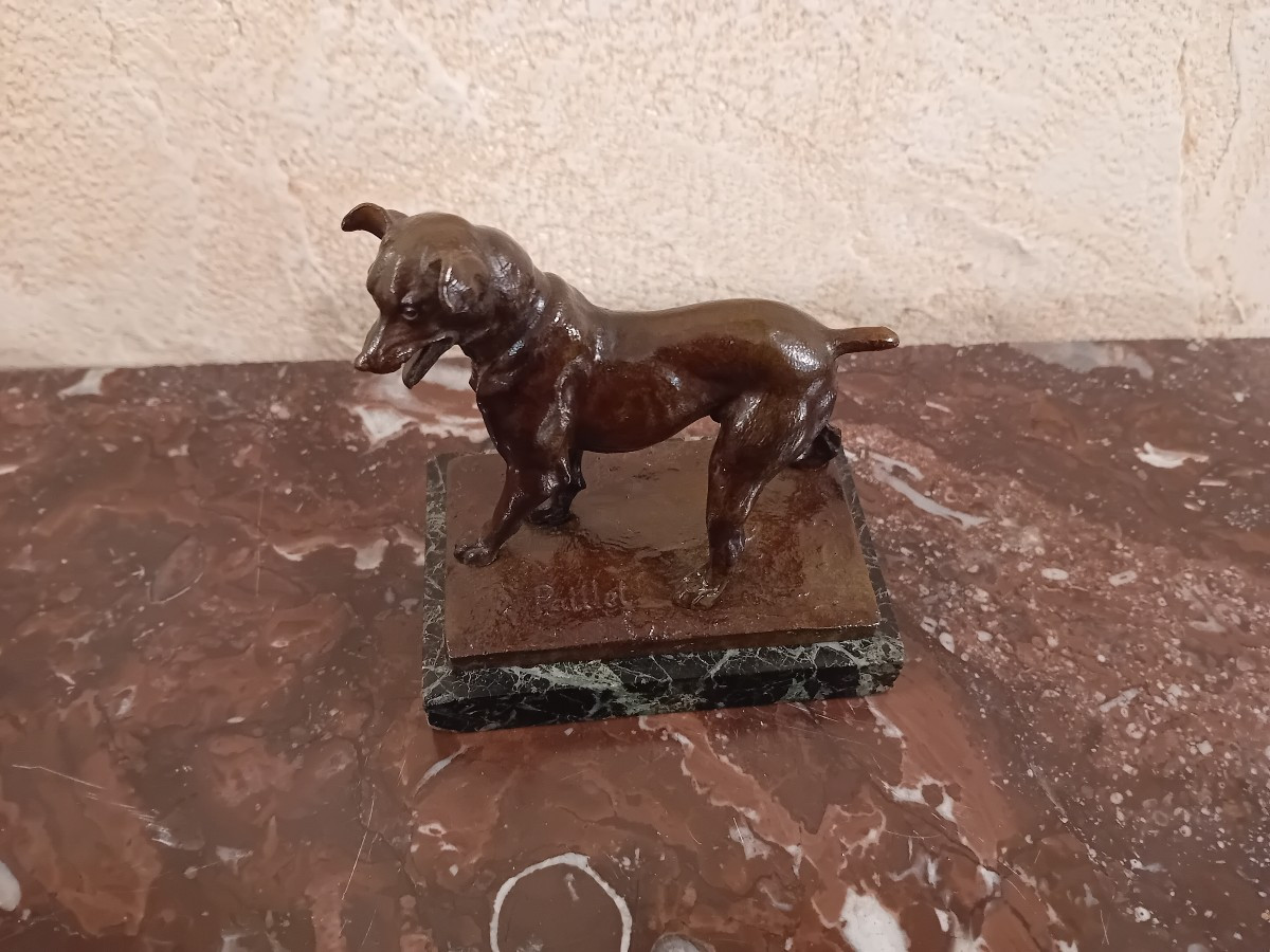 Charles Paillet 1871-1937 Small Bronze Dog On A Marble Base 