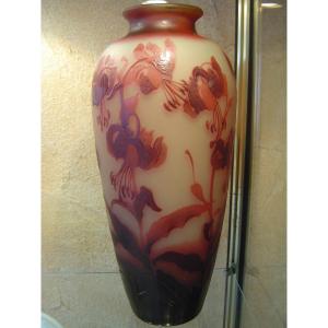 D Argental Paul Nicolas Cameo Glass Vase