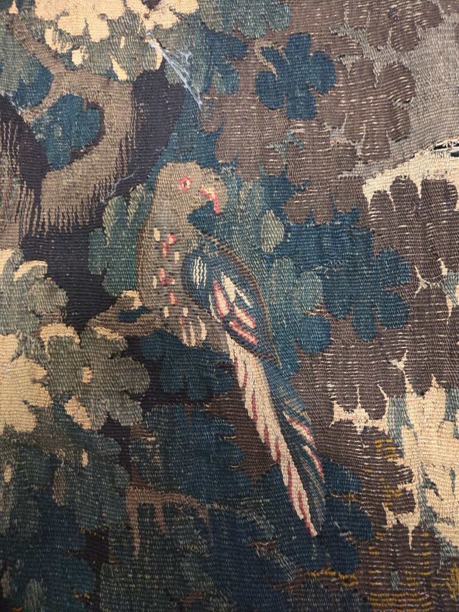 18th Century Aubusson Tapestry -photo-5