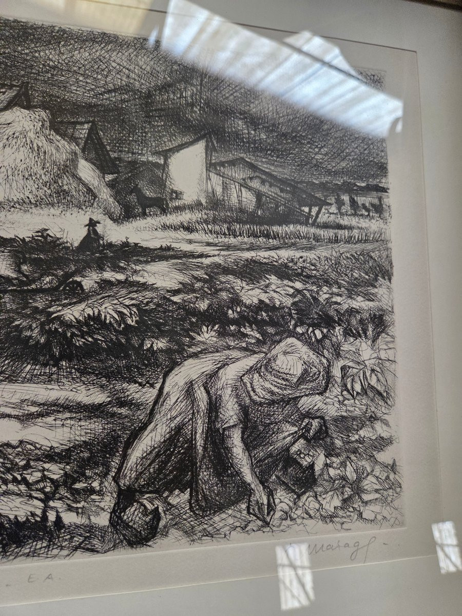 Dessin de Roger Marage (1922/2012) récolte des pommes de terre en Lorraine -photo-2