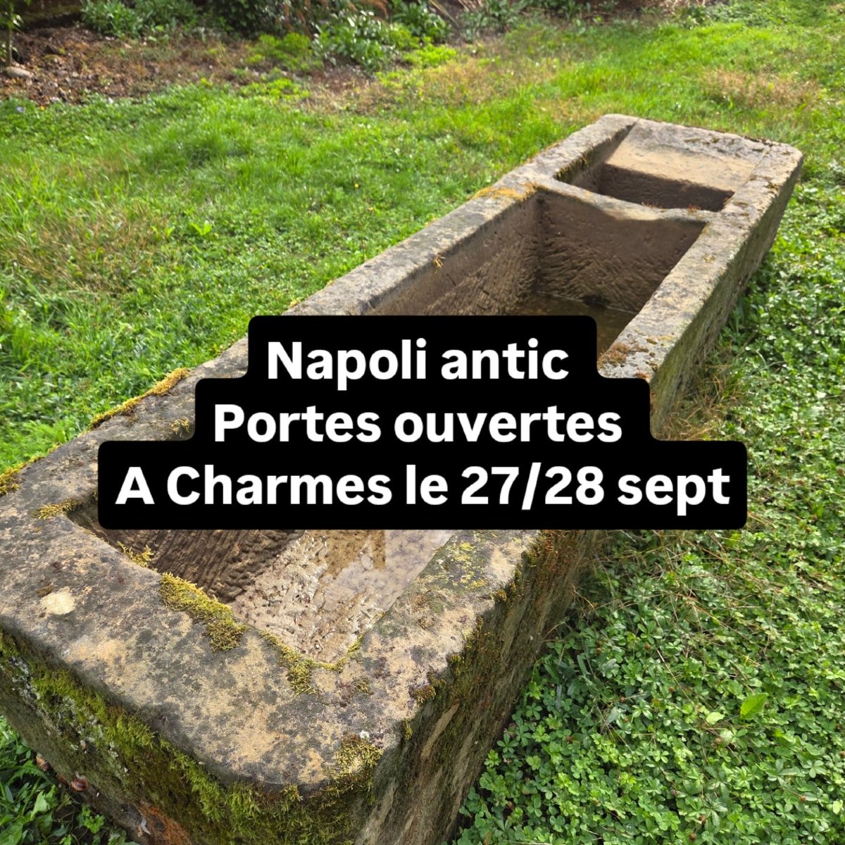 Large Basin In Vosges Sandstone From The Early 19th Century -photo-1
