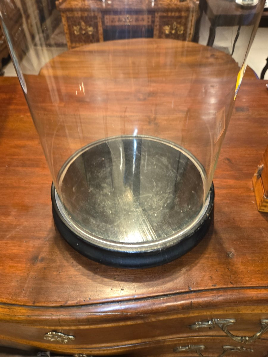 Tres grand globe en verre d'époque Napoléon III -photo-3