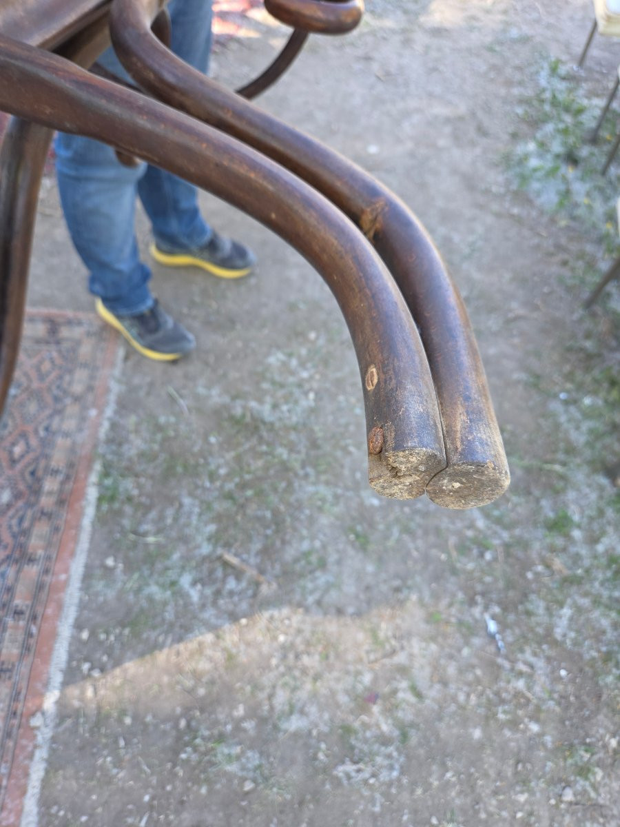 Perroquet Fischel des années 20 1 8 patères -photo-3